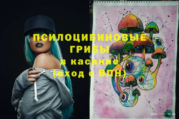 мдпв Армянск