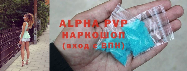 индика Алексин