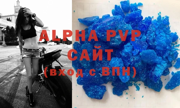 индика Алексин