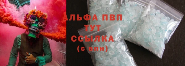 индика Алексин