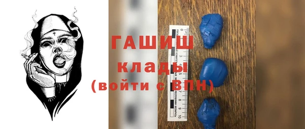 индика Алексин