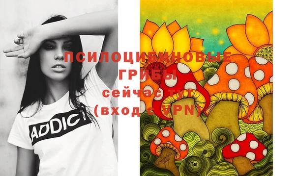 соль курить ск Алзамай