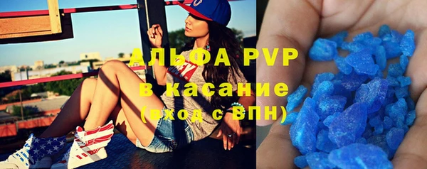 индика Алексин
